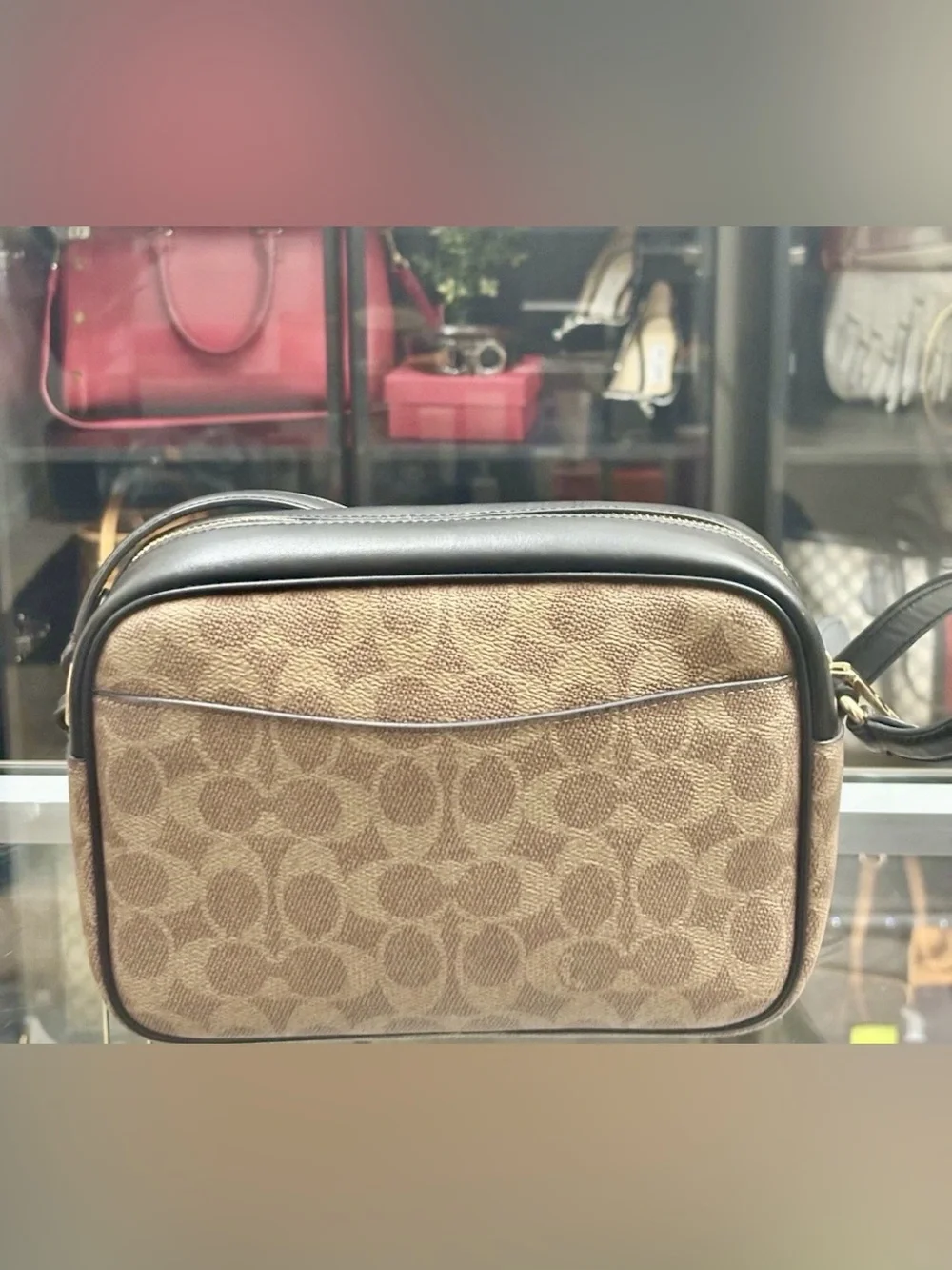 Coach Signature Jamie Camera Bag With A Playful  Rexy Dinosaur Print Crossbody.